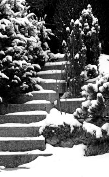 Bild in schwarzweiß: Ein Garten, mit Schnee bedeckt. vom linken Vordergrund nach oben zur Bildmitte führt eine Treppe, die Stufen sind ebenfalls schneebedeckt. am Ende der Treppe ist nichts erkennbares, nur dunkles Gebüsch. um die Treppe herum Büsche und laublose Bäumchen